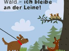 Leinenpflicht? Brut- und Setzzeit im Wald