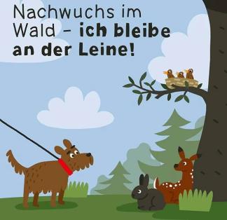 Mit diesem Bild wirbt der Deutsche Landesbetrieb Wald und Holz um Verständnis. Foto: www.wald-und-holz.nrw.de