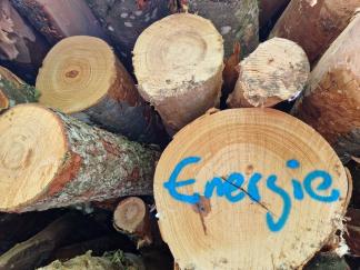 Energieholz-Polter bleiben zum Trocknen bis zu einem Jahr im Wald