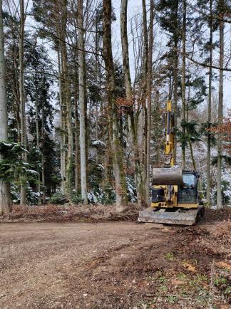 Strassenpflege mit dem Bagger nach der Holzerei