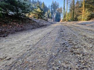 Eine gut Instand gesetzte Forststrasse