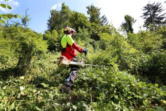 Forstwart beim Mähen
